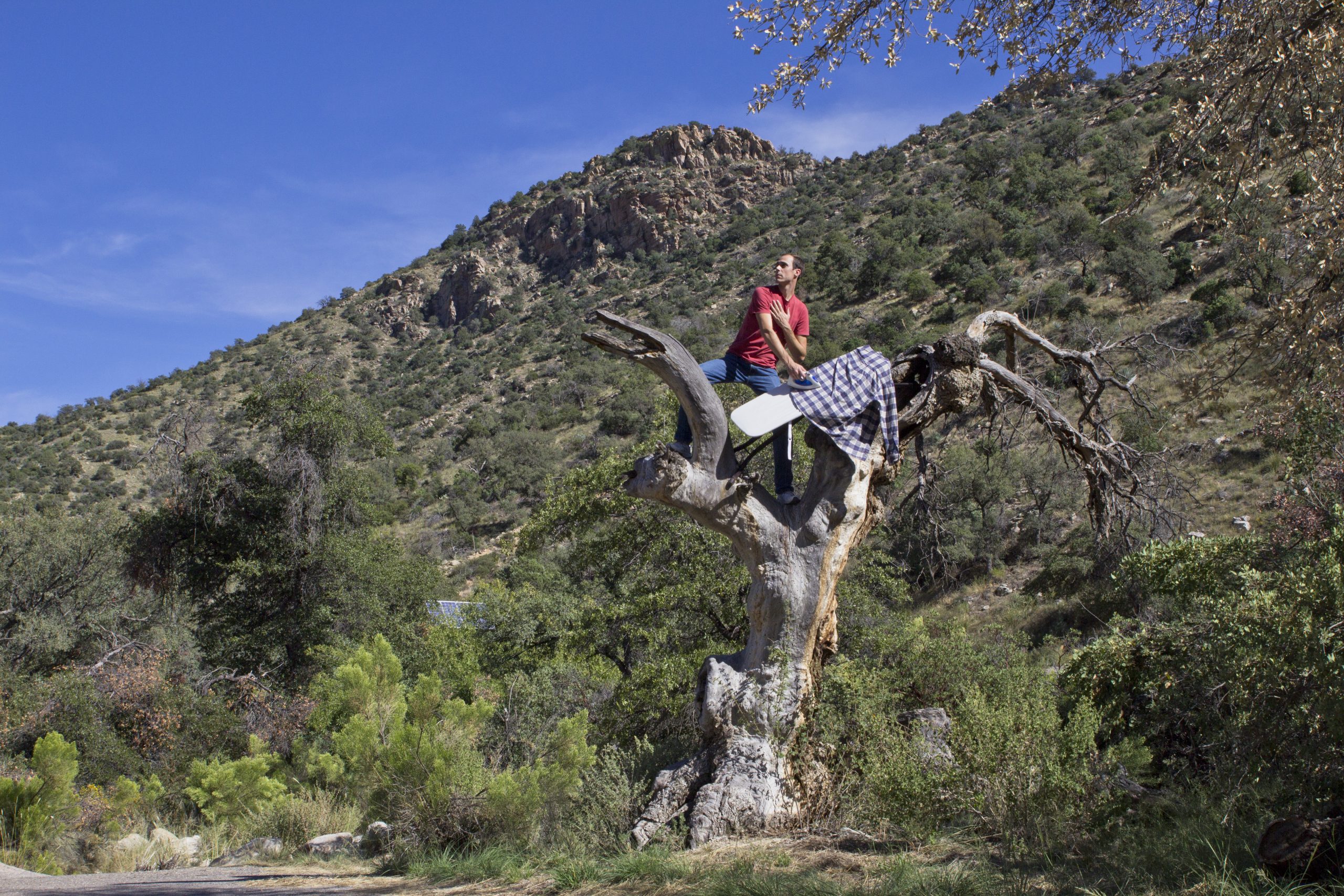 You are currently viewing Mount Lemmon